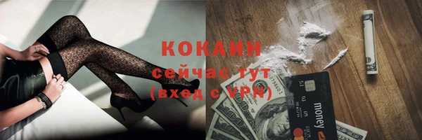 гидра Заводоуковск