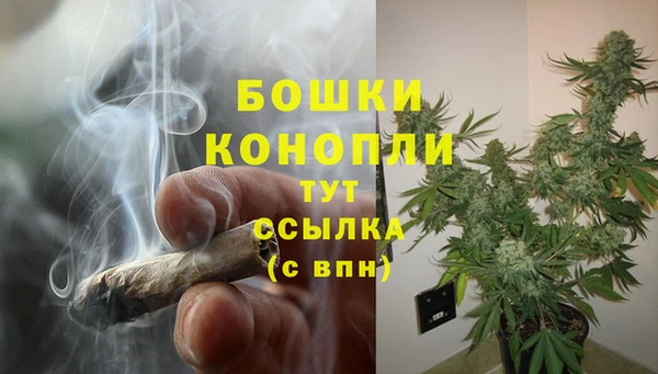 сатива Зеленокумск