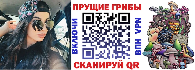 Псилоцибиновые грибы Psilocybe  Среднеуральск 