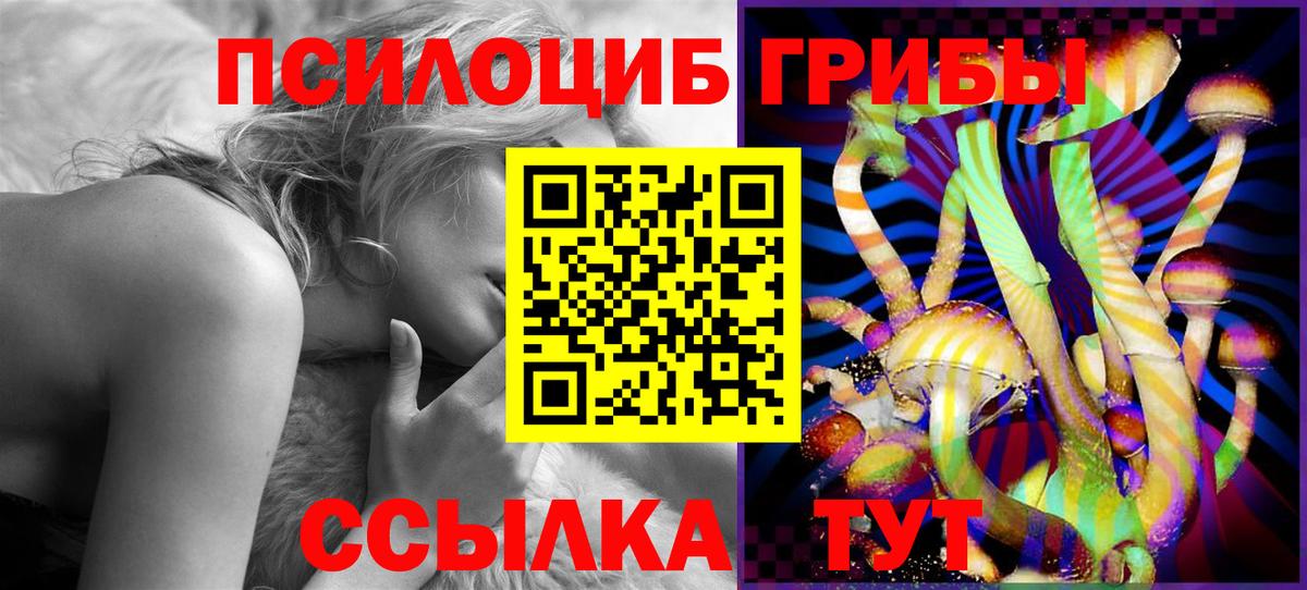 Псилоцибиновые грибы GOLDEN TEACHER Среднеуральск